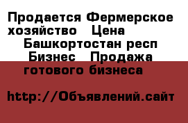 Продается Фермерское хозяйство › Цена ­ 27 000 - Башкортостан респ. Бизнес » Продажа готового бизнеса   